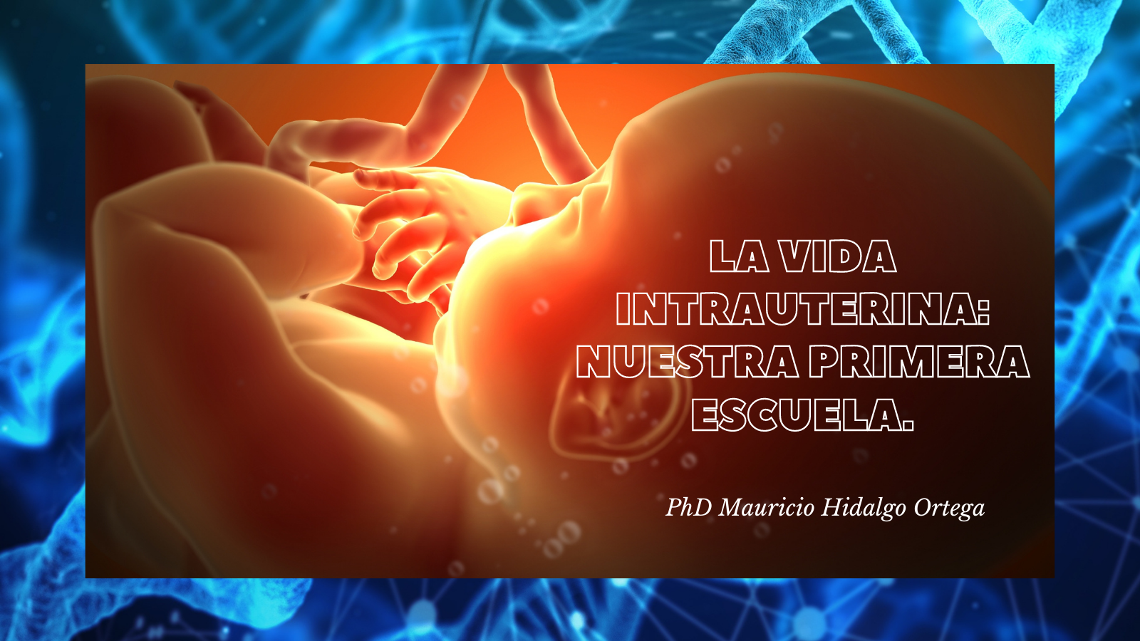 LA VIDA INTRAUTERINA: NUESTRA PRIMERA ESCUELA. – Astorga Consultores